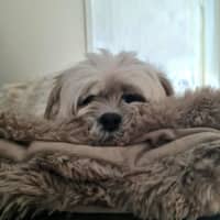 Photo of Molly Quinnell