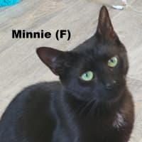 Photo of Minnie