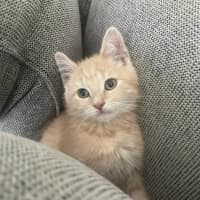 Photo of Sunny