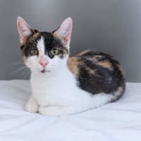 Photo of Tilly