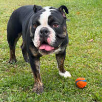Photo of Max