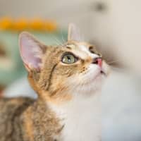 Photo of Elsie