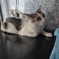 Photo of Whitney! 🌟