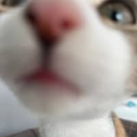 Photo of Gabby