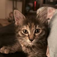 Photo of Francesca Moo