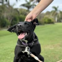 Photo of Winnie
