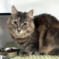 Photo of Arwen Rsua013325