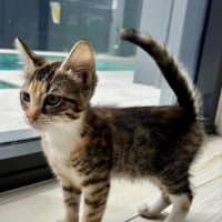 Photo of Kalia