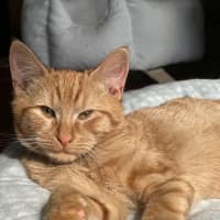 Photo of Prince Harry