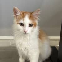 Photo of Jeffrey