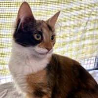 Photo of Belle