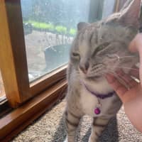 Photo of 💜 Totto 💜