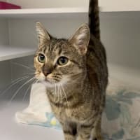 Photo of Tia