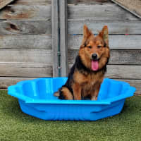 Photo of Pippi