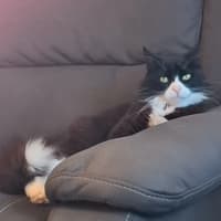Photo of Thomas