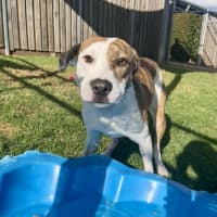 Photo of Addie