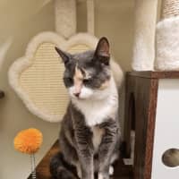 Photo of Odina 