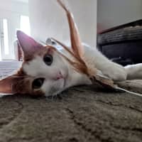 Photo of Lori