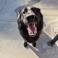 Photo of Archie 💘