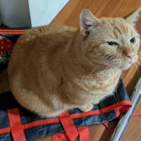 Photo of Bert