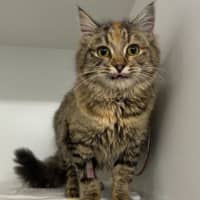 Photo of Crumble