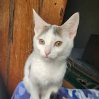 Photo of Verity & Solace