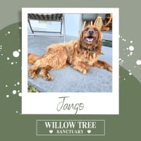 Photo of Jango