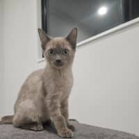 Photo of Zephyr