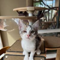 Photo of Marmalade & Honey