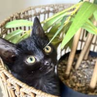 Photo of Sprout