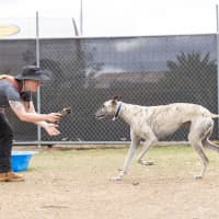 Photo of Ghost