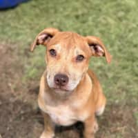 Photo of Tip (Tippy)