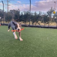 Photo of Jax Imp 1405