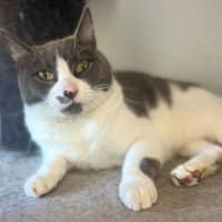 Photo of 5196   Daisy Doo