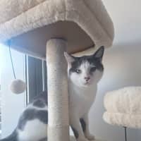 Photo of Daisy