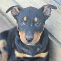 Photo of Jackpot