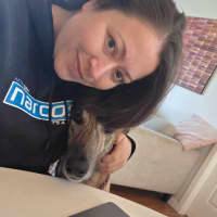 Photo of Jake, The Greyhound