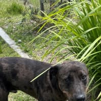 Photo of Boof (4848)