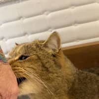 Photo of Big Boy