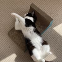 Photo of Milky