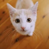 Photo of Jelly