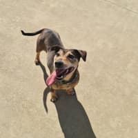 Photo of Roxy