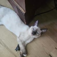 Photo of Blake