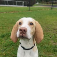 Photo of Post Malone