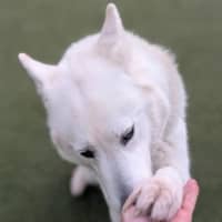Photo of Storm