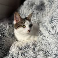 Photo of Pearl & Ruby