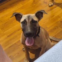 Photo of Marcel (Max)