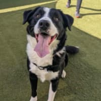 Photo of Ralph