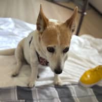 Photo of Tiara And Choppa