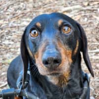 Photo of 🌞 Sonny 6191 🌞